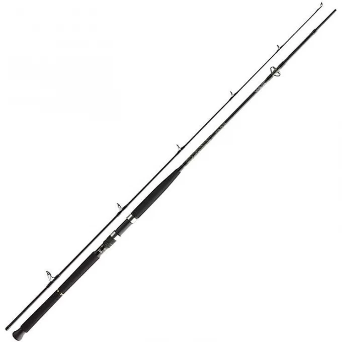 Удилище DAIWA BG BOAT (2.40м; 150-400г) 11906-246 Удилище DAIWA BG BOAT (2.40м; 150-400г) 11906-246